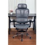 Ghế công thái học AH01 (Lưới đen)