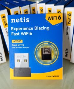 USB Wifi Netis WF2130