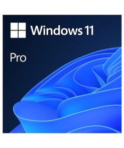 Phần mềm Win Pro 11 64Bit Eng Intl 1pk DSP OEI DVD - vĩnh viễn