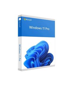 Phần mềm Windows 11 Pro 64-bit All Lng PK Lic Online DwnLd NR FQC-10572 - vĩnh viễn