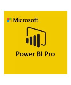 Phần mềm Microsoft Power BI Pro (12 months/1 user)